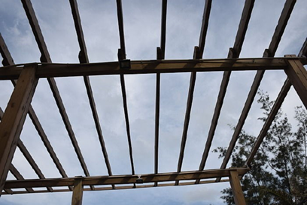 ����ľͷ��