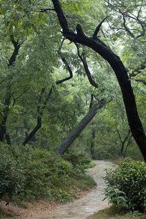 ���л�԰С·