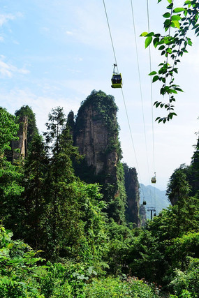 ��ҽ�����