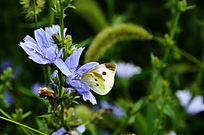 Ұ���ͺ���