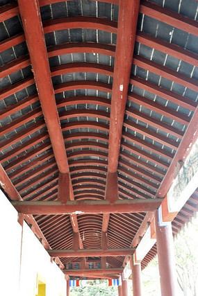 �¹�ľ����