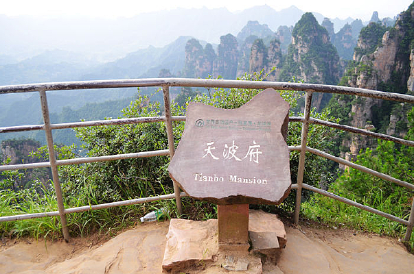 �żҽ��첨��