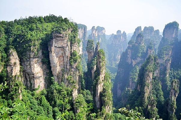 �żҽ�Ԭ�ҽ�