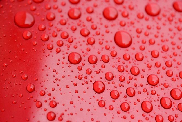 ��Ө��͸��ˮ�鱳��