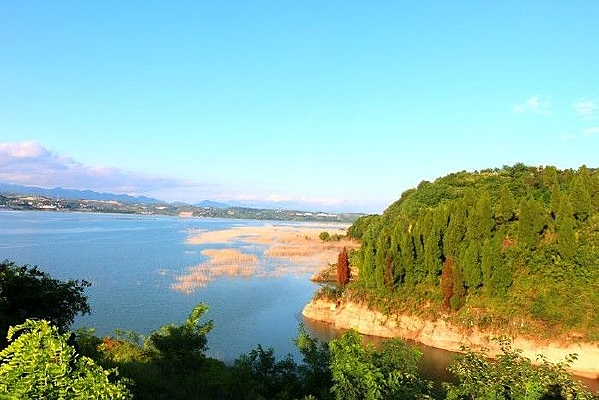 ��̲����