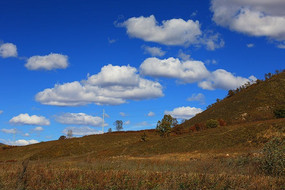 ��������µĲ�ԭ