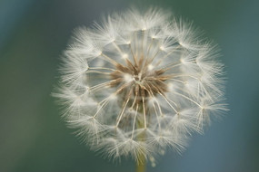 �ѹ�Ӣ������