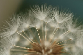 �ѹ�Ӣ���ӵĽ���ɡ