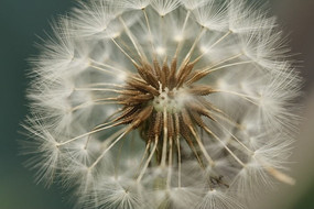 �ѹ�Ӣ���Ӿֲ�