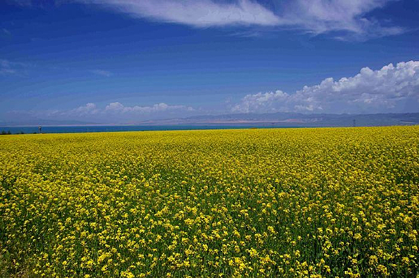 �ຣ���ϵĻ���