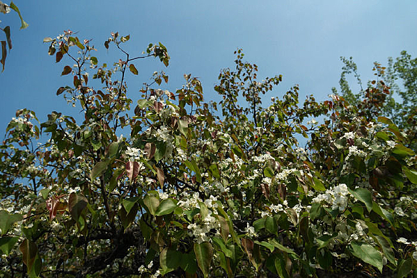 �����滨֦