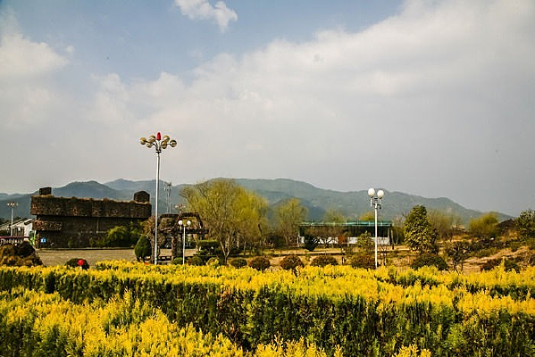 �ڳ��ɽ��԰