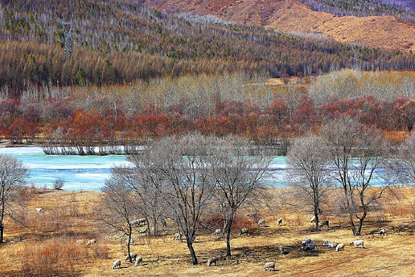 �紺������