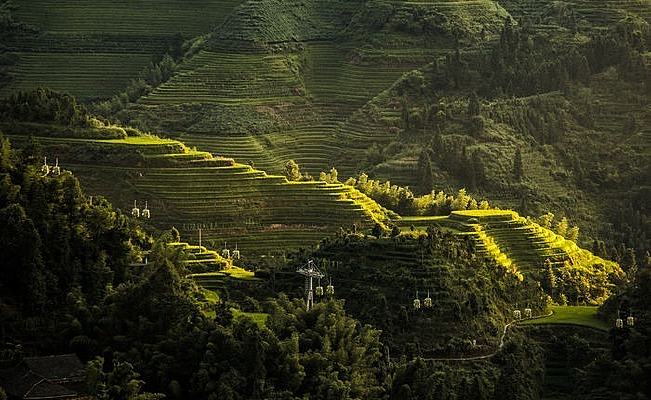 ����׳����������