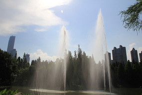 �����µ���Ȫ