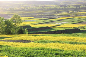 ��Ұ�ϴ�Ƭ���Ͳ˻�