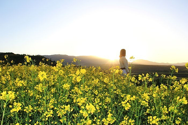 �Ͳ˻��ߵ�Ů��