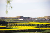 �������