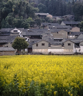 ���ͷ���