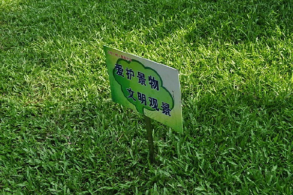 �ݵ�������