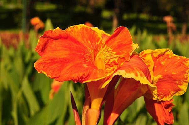 ���û���