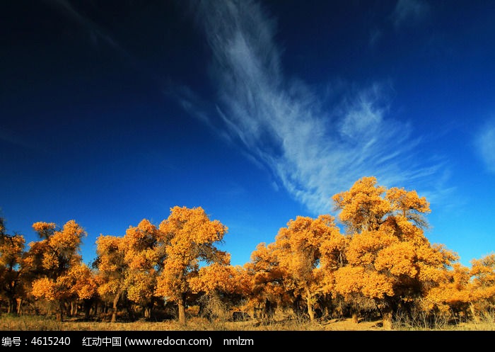 ���õĺ�����ͼƬ