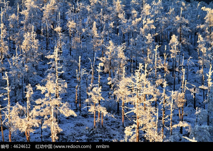 ���˰���ѩ��Ϧ��ͼƬ