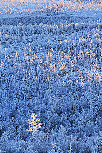 ���˰�����װ�ع�