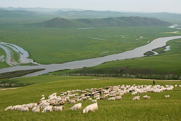 �ݵ�����