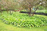 �ֿ�����