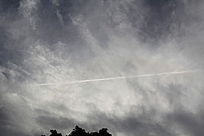 Ư������