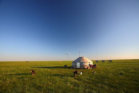 ��������