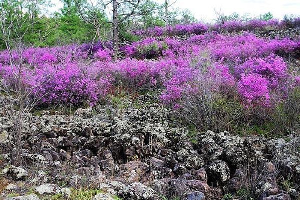 ��ɽ���ҵ�