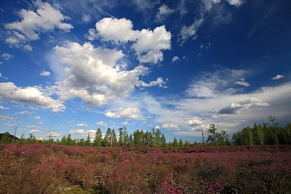 �����ž�