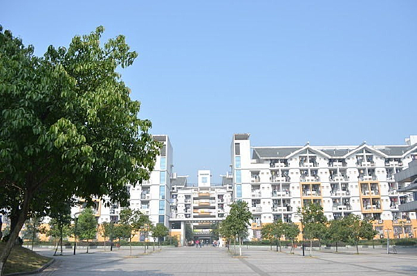 �ش�����