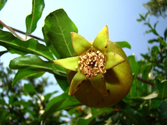 ��ʵ����ӰͼƬ