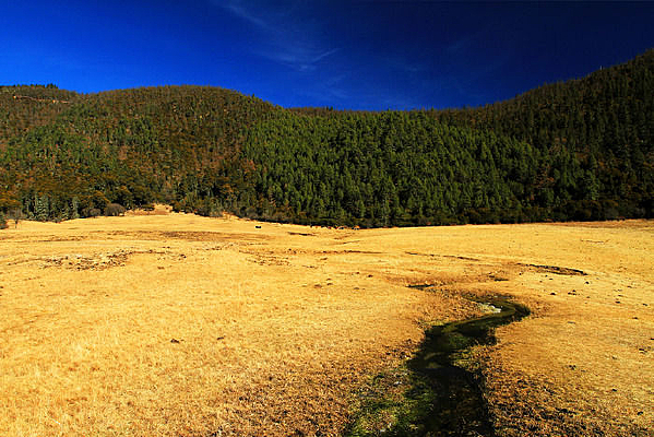 С����ɭ�ֹ�԰