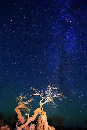 �ǿ��¿���