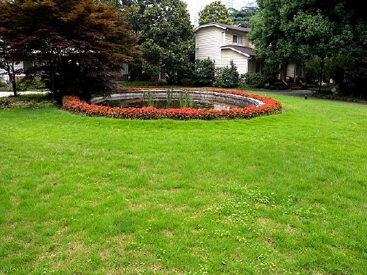 �����еı���