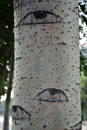 ���۾�����