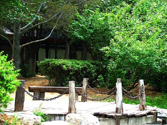 �������ߵĻ���