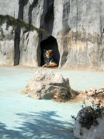 �����ϻ�