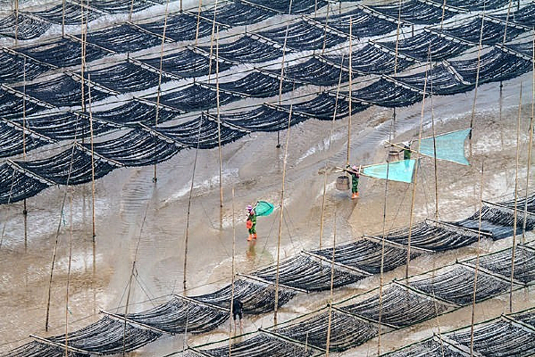 ������ֳ