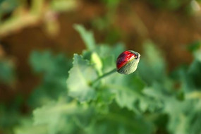 ���ŵ���ڻ�