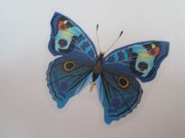 Ư���ĵ��ԲȦ