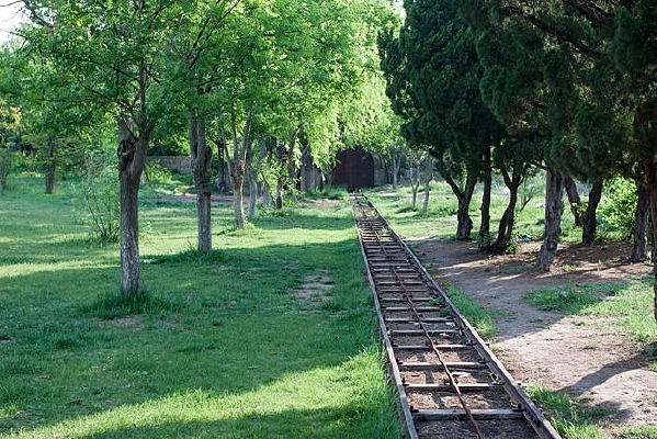 ������еĹ�Ӱ