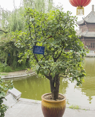 ľ��������