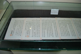 �ձ�Ͷ����