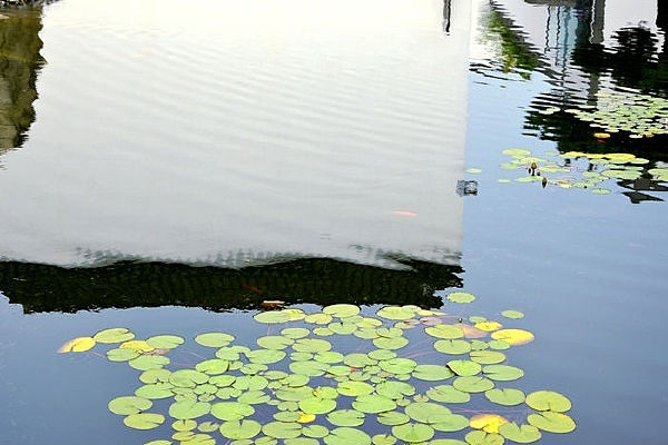 ���浹Ӱ��ɫ