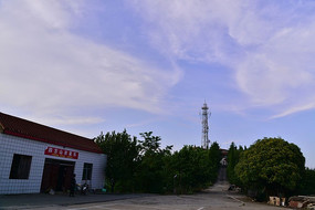 ֲ��԰������ĵ���